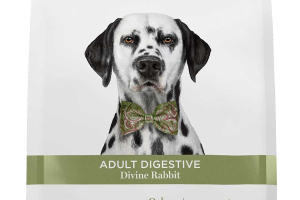 Adult digestive - Divine rabbit